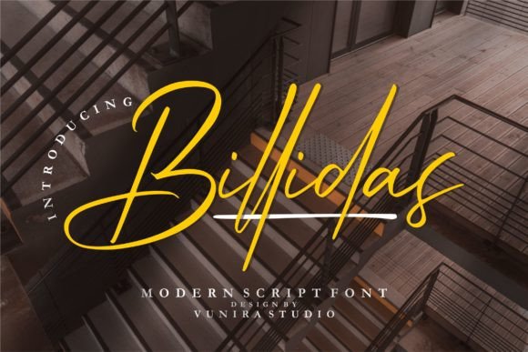 Billidas: A Romantic Script Font for Campaigns