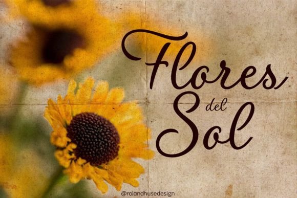 Flores Del Sol: A Script Font That Elevates Small Business Branding