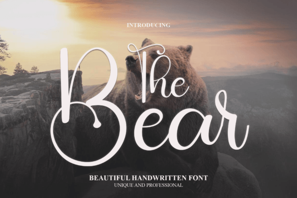 The Bear: A Feminine Typeface for Elegant Branding